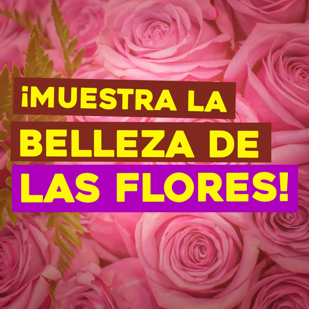 flores